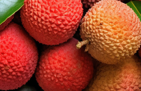 Litchi