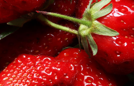 Strawberry Puree Concentrate 18 Bix